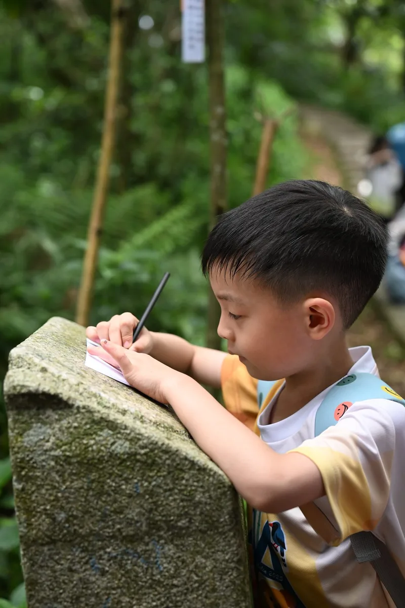 摸摸樹皮