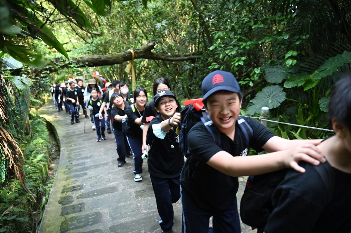 走在林道上