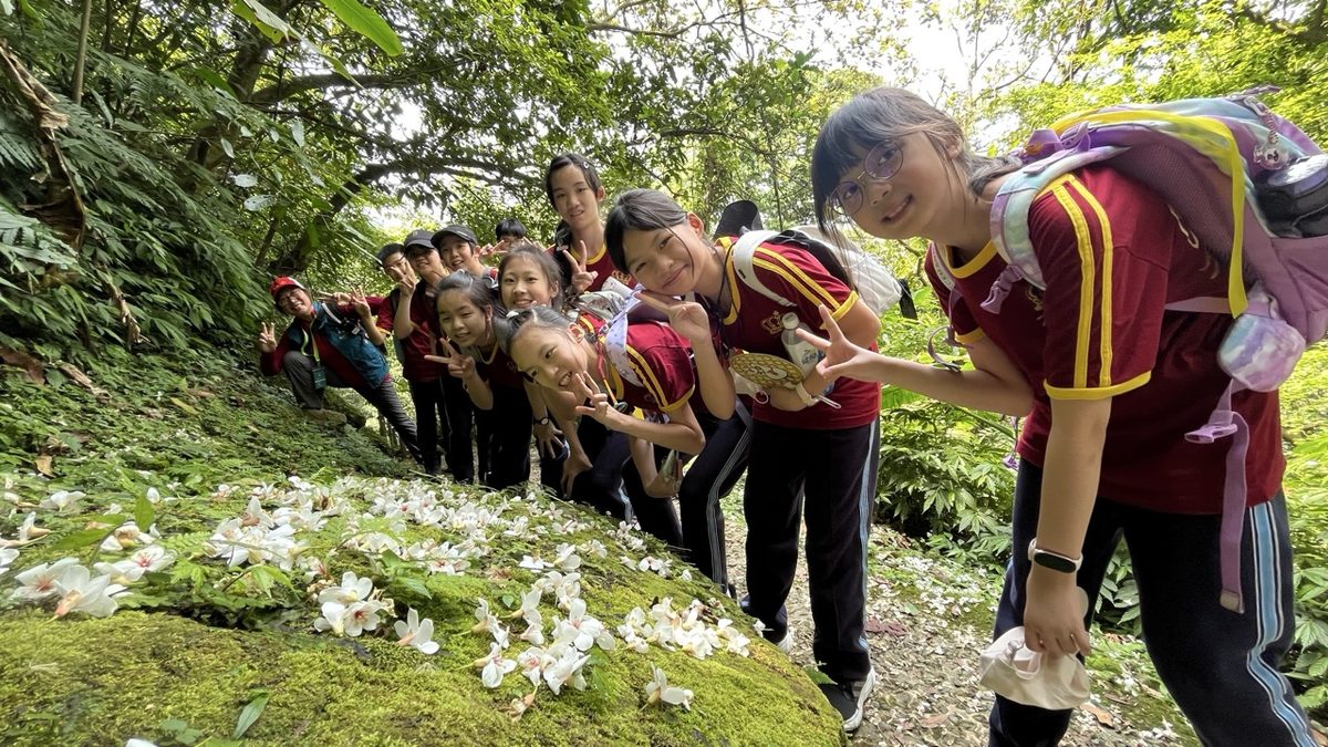 桐花落在步道上