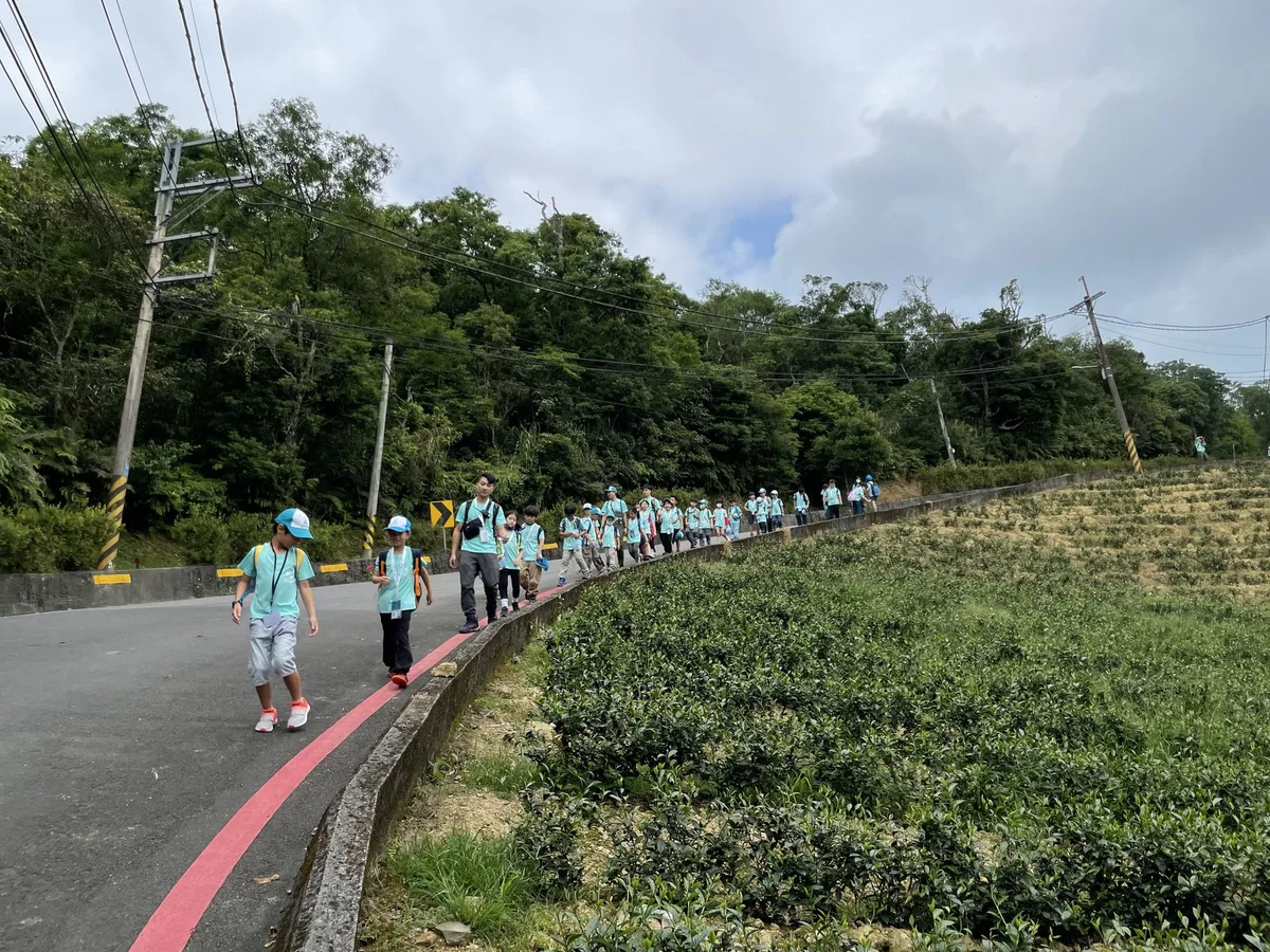 坪林茶人——從一片葉子變成一杯茶